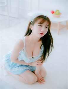 狐狸的夏天